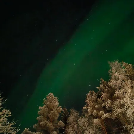 Metsaeranta Kalajoki