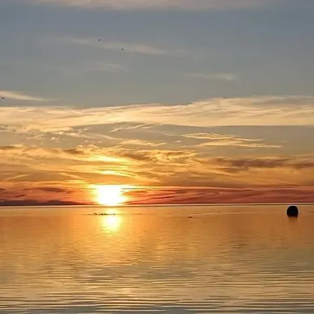 Metsaeranta * Kalajoki